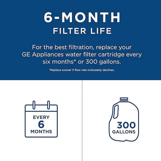 GE RPWFE Refrigerator Water Filter.(Built-in CHIP)