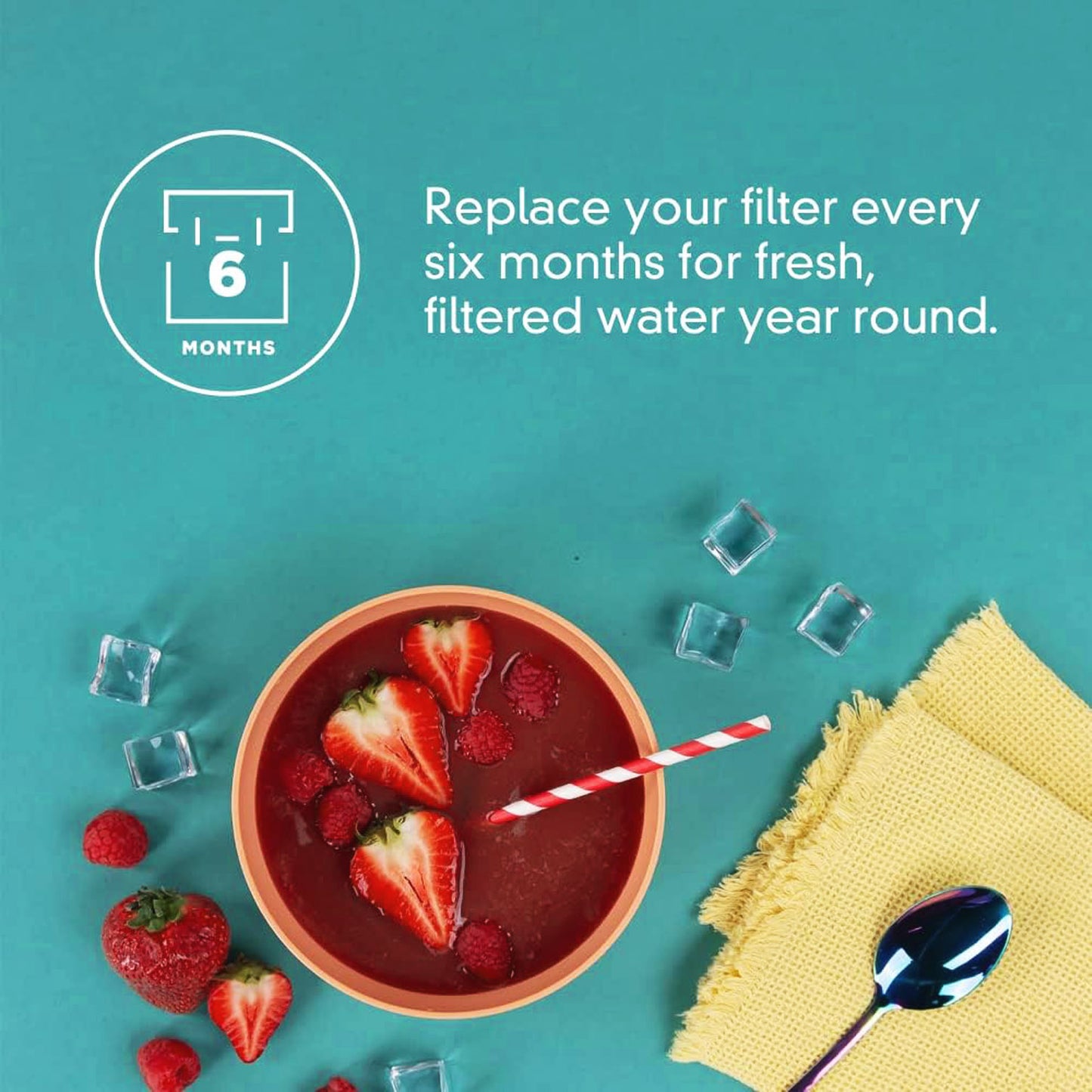 everydrop by Whirlpool Ice Filter, F2WC9I1 Maker Filter